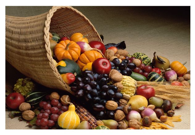 tablou canvas decorativ - cornul abundentei I tablou canvas decorativ - cornul abundentei I